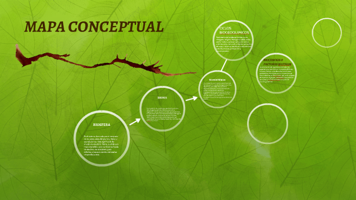 MAPA CONCEPTUAL by azael jimenez figueroa on Prezi