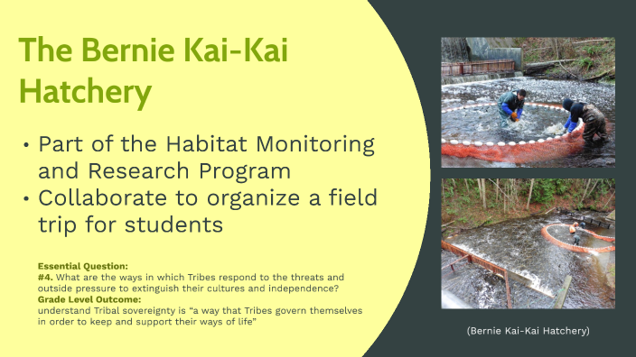 Tulalip Tribes environmental efforts