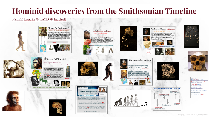Hominid Discoveries From The Smithsonian Timeline By Taylor Birdsell On Prezi