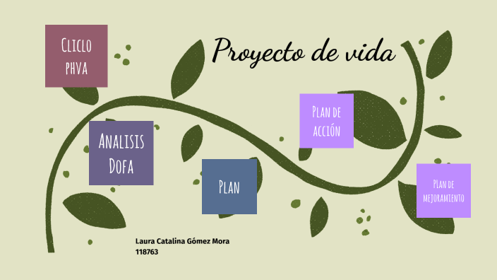 Proyecto De Vida By Laura Gómez On Prezi