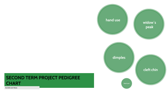 second-term-project-pedigree-chart-by-ava-leon