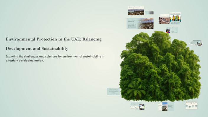 Environmental Protection in the UAE: Balancing Development and ...