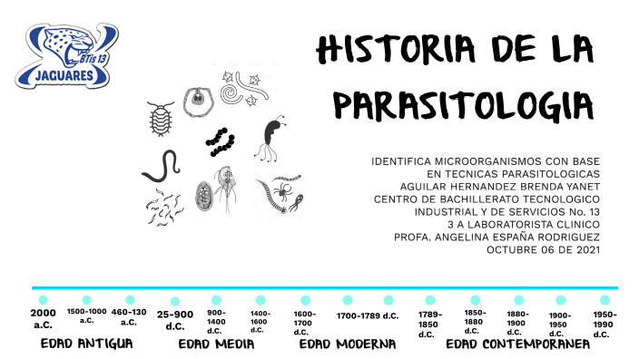 Historia De La Parasitologia Linea Del Tiempo prezi.com