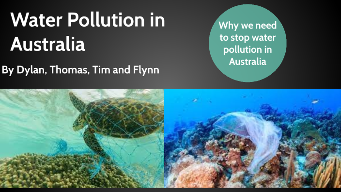 water pollution in australia essay