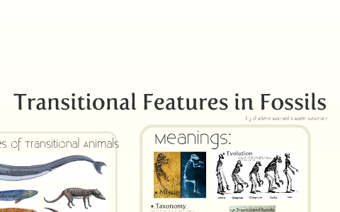 Transitional Features In Fossils By Charlie Mamaril On Prezi