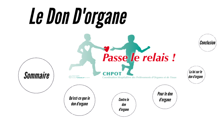 Le Don D Organe By Kikou Mar