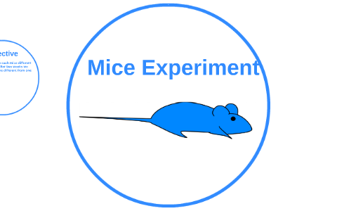 mice experiment book