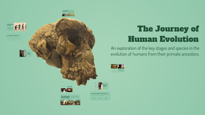 The Journey of Human Evolution by Michelle Espinosa on Prezi