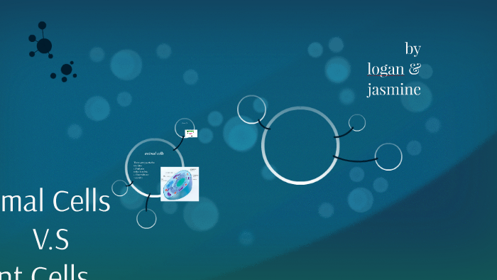Animal Cells by logan lee on Prezi