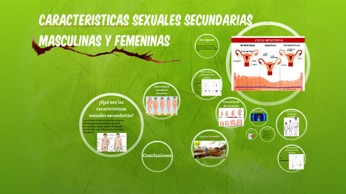 CARACTERISTICAS SEXUALES SECUNDARIAS MASCULINAS Y FEMENINAS by airam