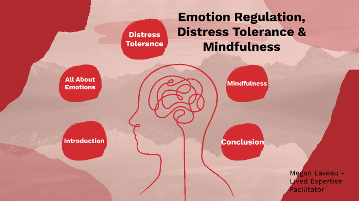 Emotion Regulation, Distress Tolerance, And Mindfulness By Megan Laveau ...