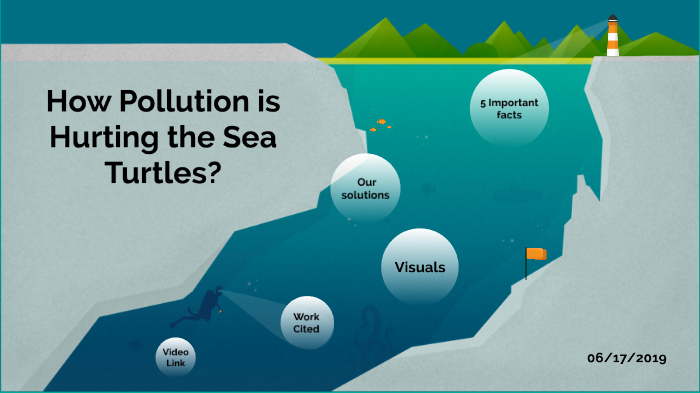 Save the Turtles by Emily Walby on Prezi
