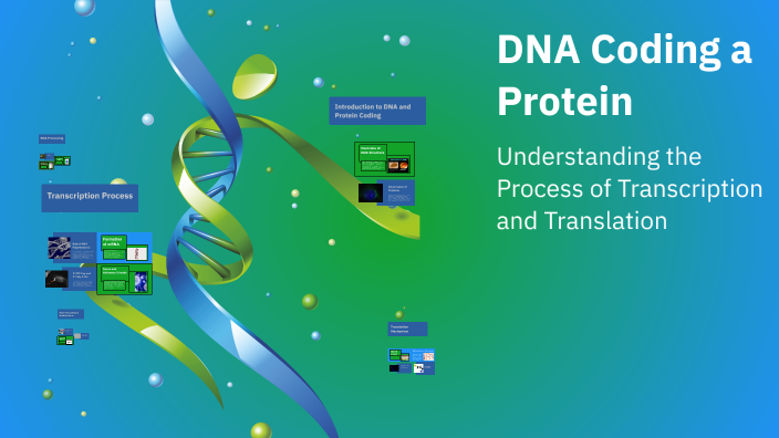 DNA Coding a Protein by Annapurna Vemuri on Prezi