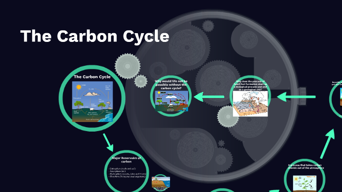 The Carbon Cycle by Izzy Stanley on Prezi