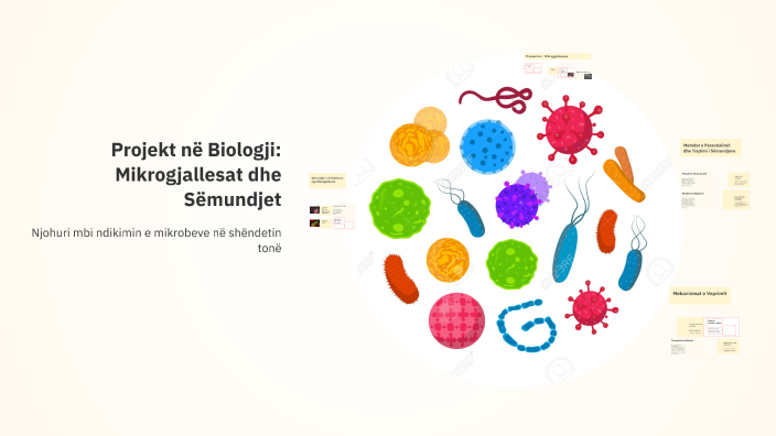 Projekt Në Biologji Mikrogjallesat Dhe Sëmundjet By Megi Qerim On Prezi