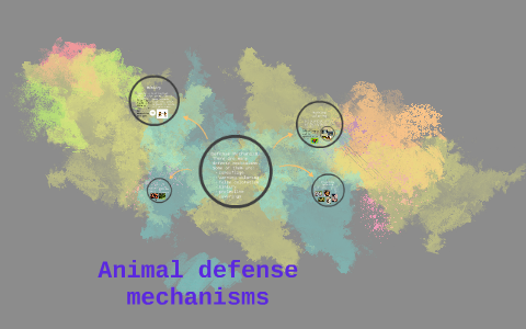animal defense mechanisms by Nastassja Ott on Prezi