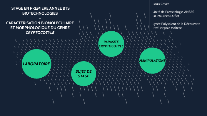 comment se présenter lors d une soutenance de bts