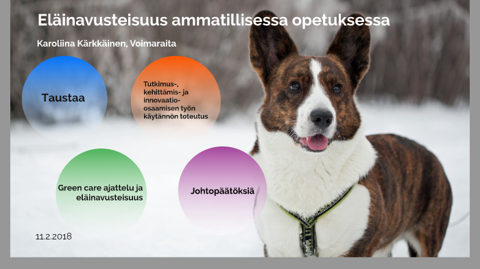 Eläinavusteisuus ammatillisessa opetuksessa by Karoliina Kärkkäinen on  Prezi Next