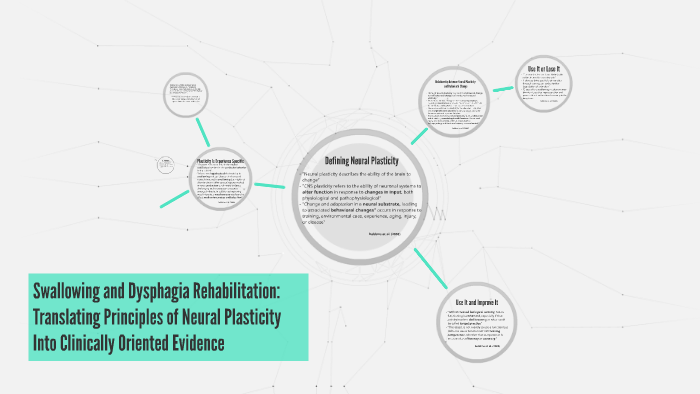 Swallowing and Dysphagia Rehabilitation: Translating Princip by Maureen ...