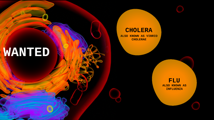 Science Wanted Poster By Amelia Ahmed On Prezi Ycrsonkxu3zcrwt75xjsijtiql6jc3sachvcdoaizecfr3dnitcq 3 0