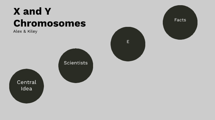 X and Y chromosomes by KILEY BYRD on Prezi