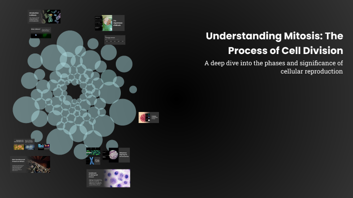 Understanding Mitosis: The Process of Cell Division by Cofi Val on Prezi