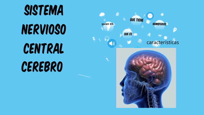 Sistemas Nervioso Central By Deisy Viviana Cucunuba On Prezi