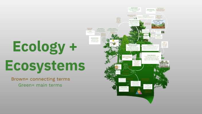 Ecology and Ecosystems by Maddy Mcgovney on Prezi