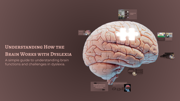 Understanding How the Brain Works with Dyslexia by Jennifer Teague on Prezi