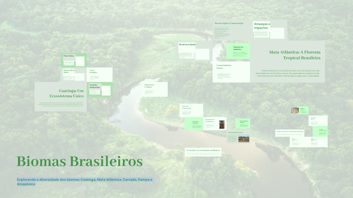 Biomas Brasileiros by João Lucas M. Carvalho on Prezi