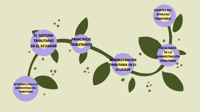 SISTEMA TRIBUTARIO EN EL ECUADOR By Jasszz Kpch On Prezi