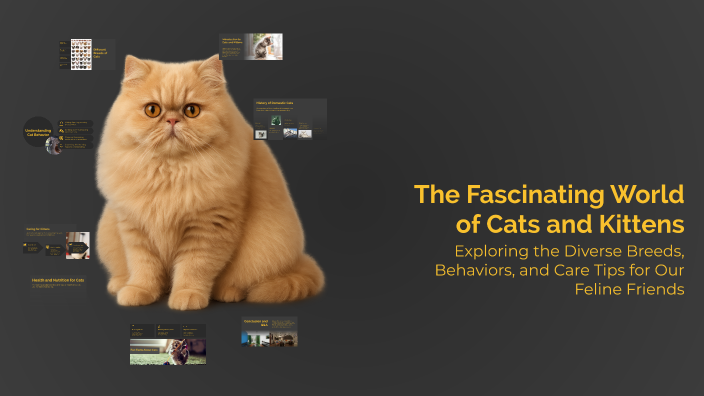 The Fascinating World of Cats and Kittens by Chris dżnr on Prezi