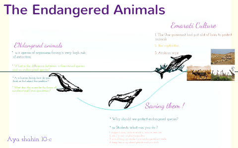 the endangered animals by Aya Shahin