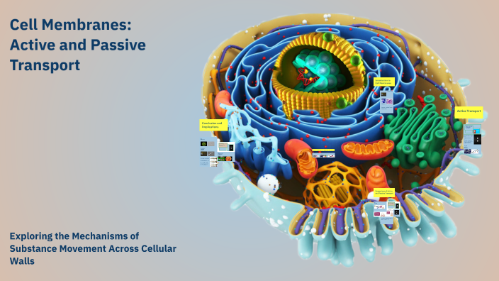 Cell Membranes: Active and Passive Transport by CLIFFORD VILLARTA on Prezi