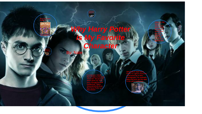 essay on my favourite character harry potter