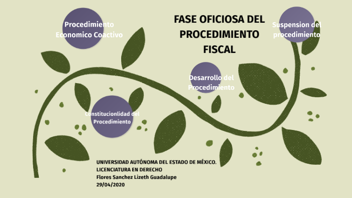 Fase Oficiosa Del Procedimiento Fiscal By Lizeth Flores Sanchez On Prezi