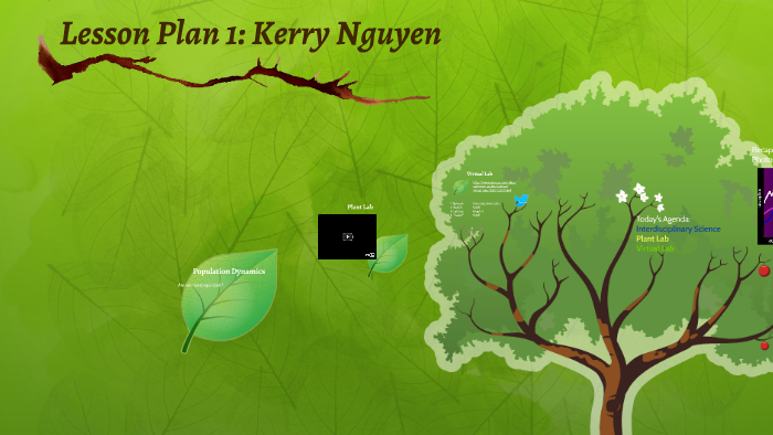 Lesson Plan 1: Kerry Nguyen by Kerry Nguyen on Prezi