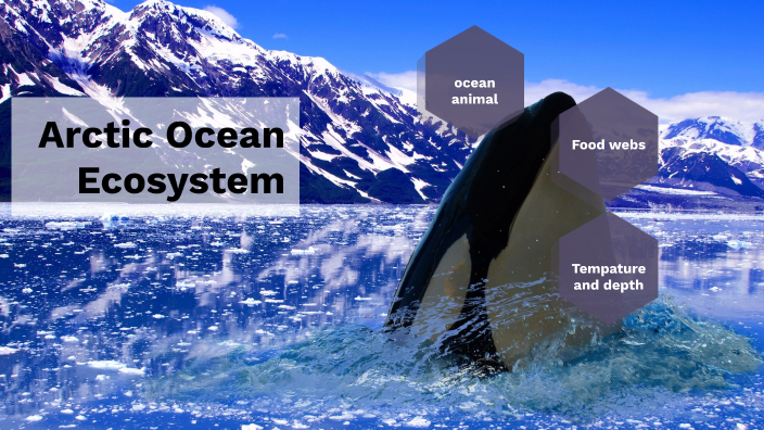 Arctic Ocean Ecosystems by CALEB BROWN on Prezi