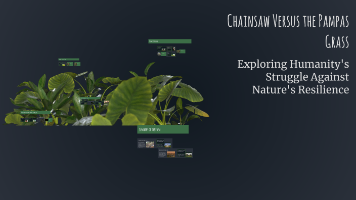 Chainsaw Versus the Pampas Grass by JEREMY ROE on Prezi