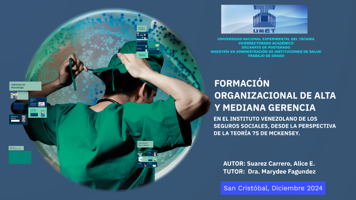 FORMACIÓN ORGANIZACIONAL DE ALTA Y MEDIANA GERENCIA by Alice Suarez on ...