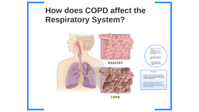 How does COPD affect the Respiratory System? by Evan Merced on Prezi