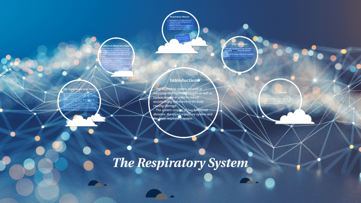 The Respiratory System by cheyenne wright on Prezi