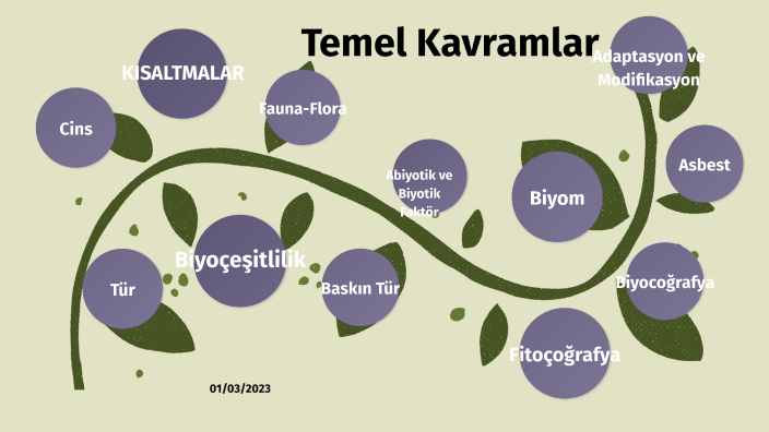 Türkiye'nin Biyolojik Zenginlikleri Temel Kavramlar by Behiye Akcay on ...