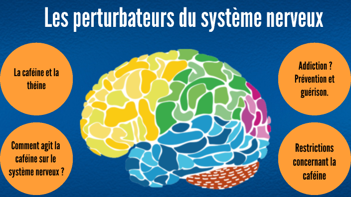 Les perturbateurs du système nerveux by Soumaya Laraichi on Prezi