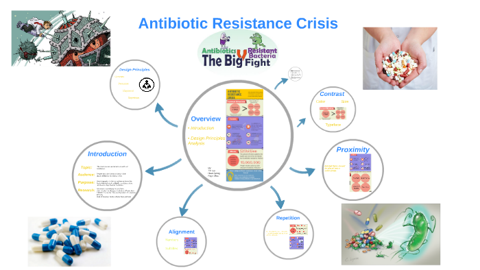 Antibiotic Resistance Crisis By Yifei Zhao On Prezi