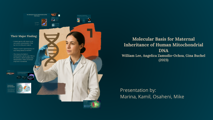 Molecular Basis for Maternal Inheritance of Human Mitochondrial DNA by ...