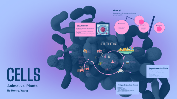 Cells: Animal V.S Plants by Shrimpskii on Prezi