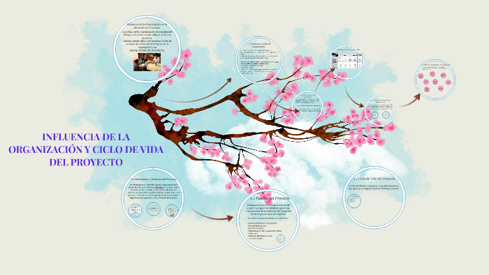 INFLUENCIA DE LA ORGANIZACIÓN Y CICLO DE VIDA DEL PROYECTO by Yajita