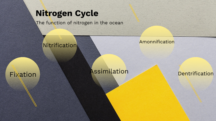 Nitrogen Cycle by T'Aira Lane on Prezi