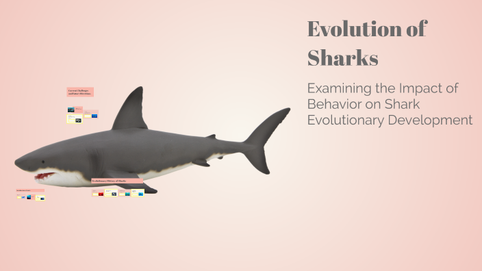 Evolution of Sharks by Aidan Lane on Prezi
